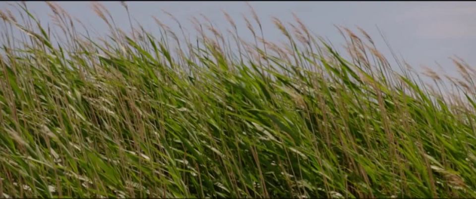 Diane Kruger - Tout nous separe (2017) HD 720p!!!