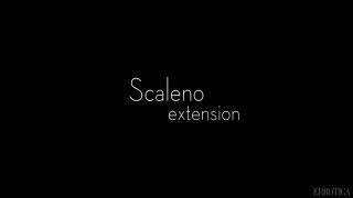 Original Video Title Scaleno II