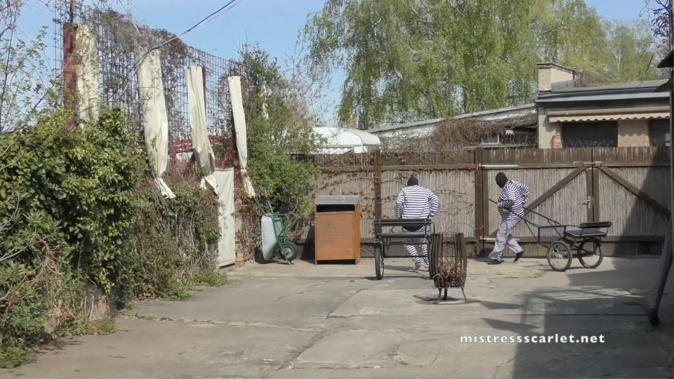 Carrera de Prisioneros Pony.
