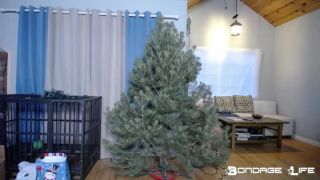free adult video 24 Bondage Life – Christmas With Greyhound – Rachel Greyhound, slave fetish on fetish porn 
