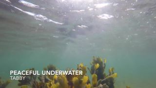 video 19 LittleTabby – Peaceful Underwater - sex ed - femdom porn asian feet fetish