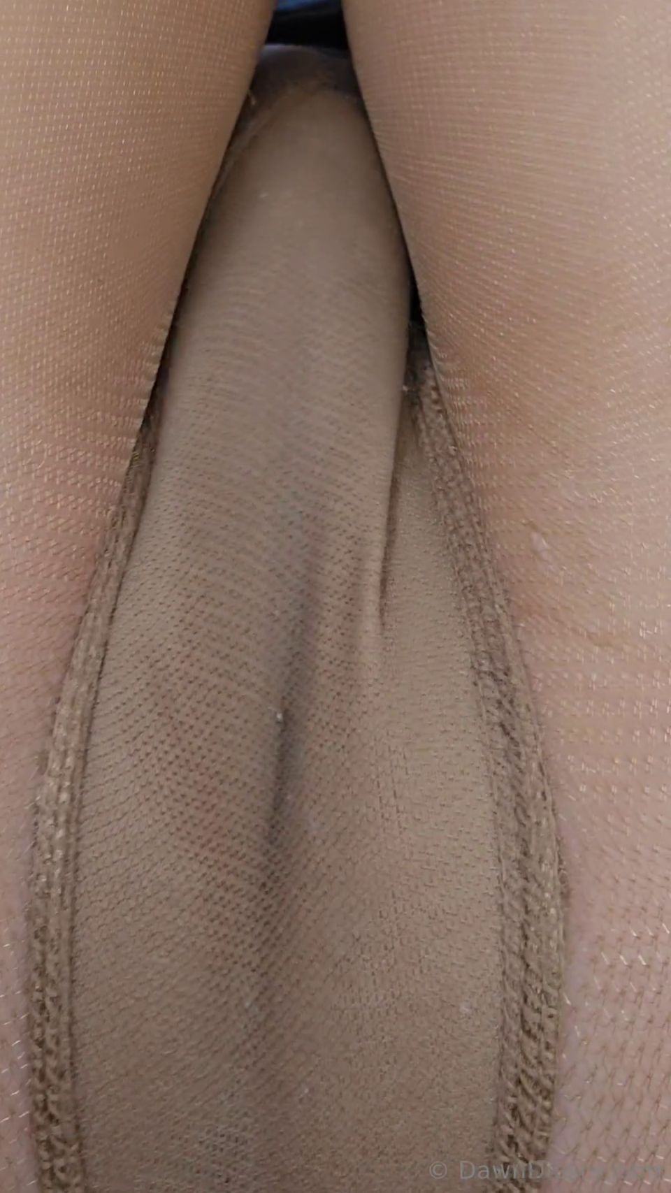 dawndesireph_dawndesireph-2024-11-15-3566684557 