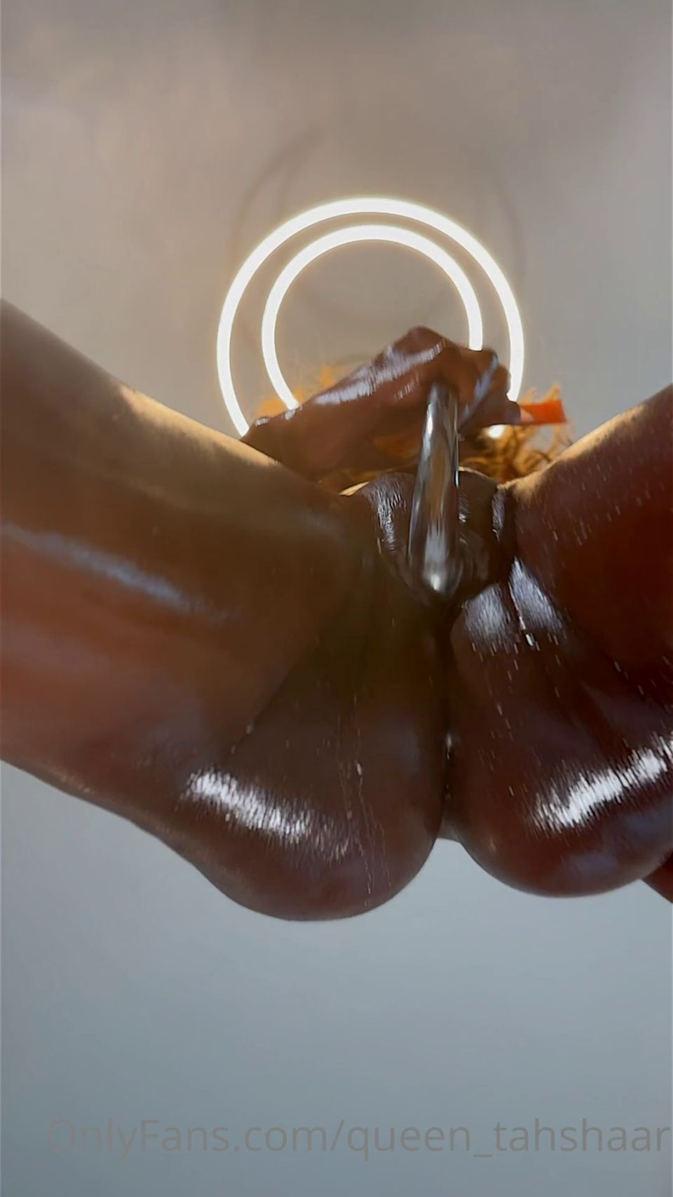 reina tahshaar qt270