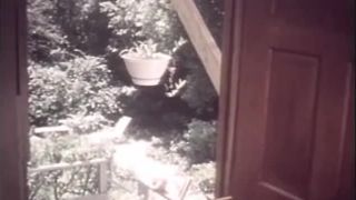 Swedish Erotica 1103: The Erotic Exotic Machine (1978) - (Vintage)