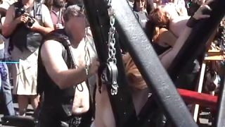 Coccozella-SiteRIP 0040-iota-folsom2004-4