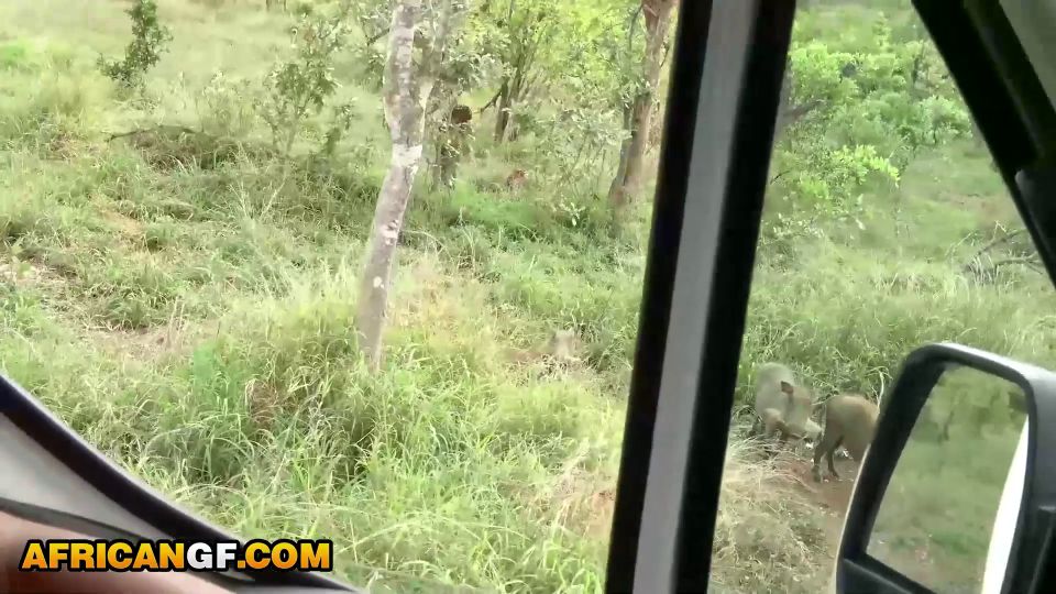 6290 Nympho African Girlfriend Sucks My White Cock After    