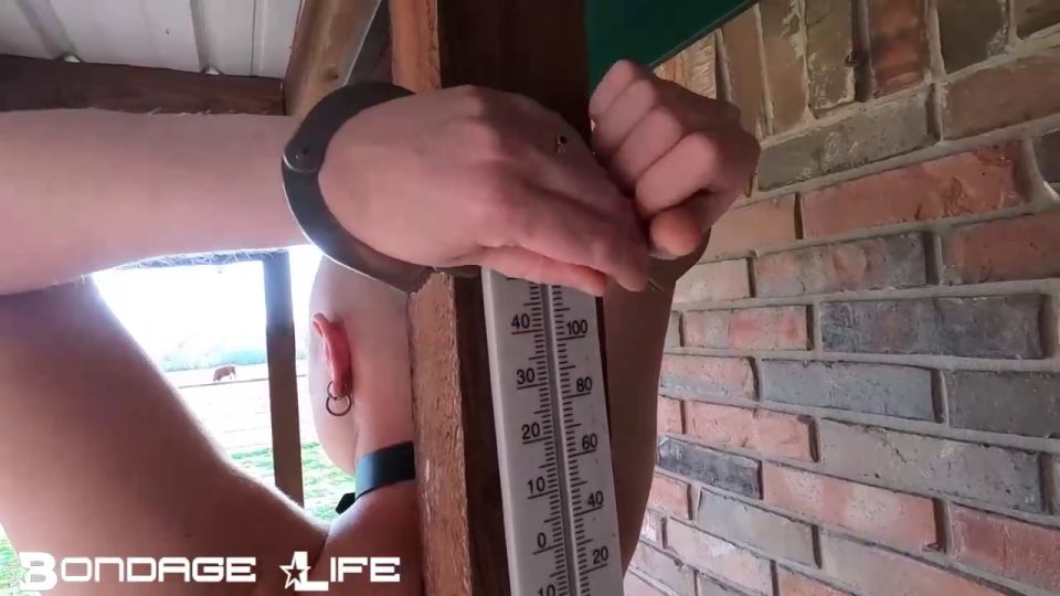 adult clip 6 Bondage Life - Watching the Grass Grow - Rachel Greyhound - 4/1/2025 on bdsm porn nipple bdsm video