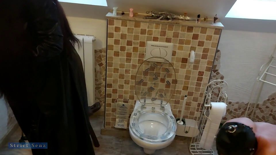 My Dirty Hobby - Strict Senz - Miss Alessa Milano Futtert aus der Toilette Teil 2 - Germany