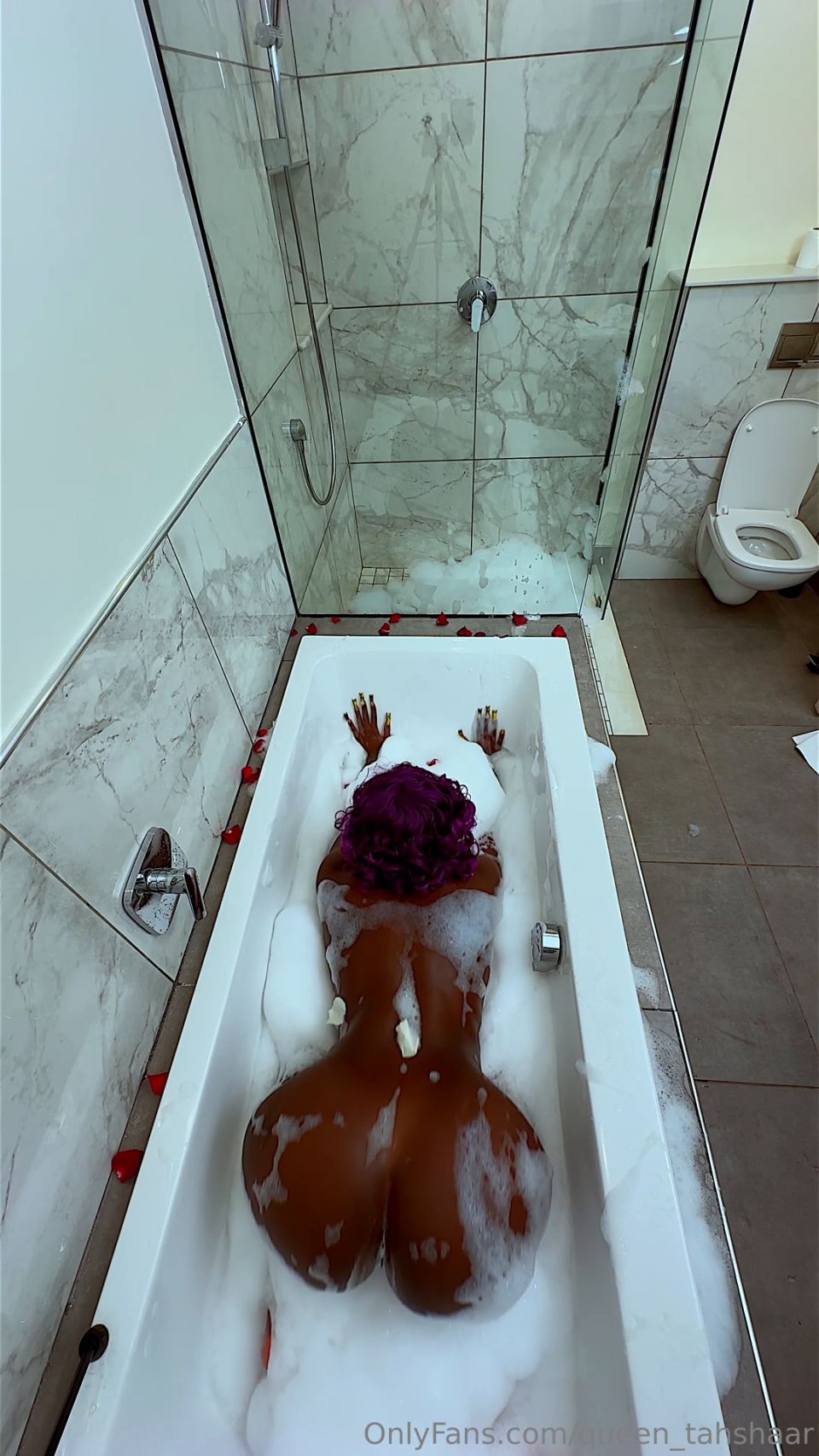 reina tahshaar qt112