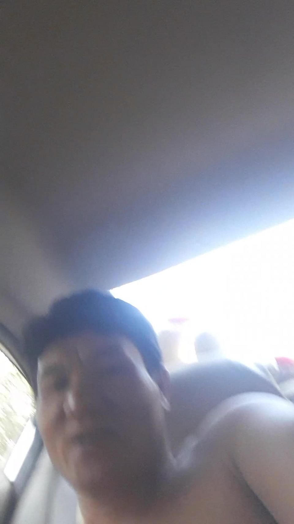 Chinese_Sex_in_Car