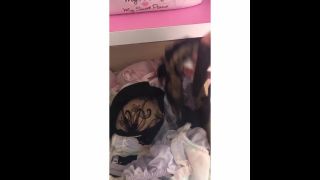 gratis porno clip 23 PantySpy 13 – InShot 20190315 185119816  hardcore  hardcore porno die hardcore xxx