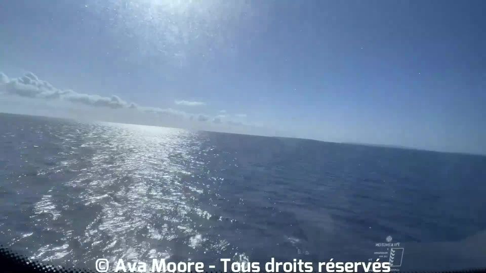 Ava Moore Sexo privado Video mientras viaja (Euro sexo)