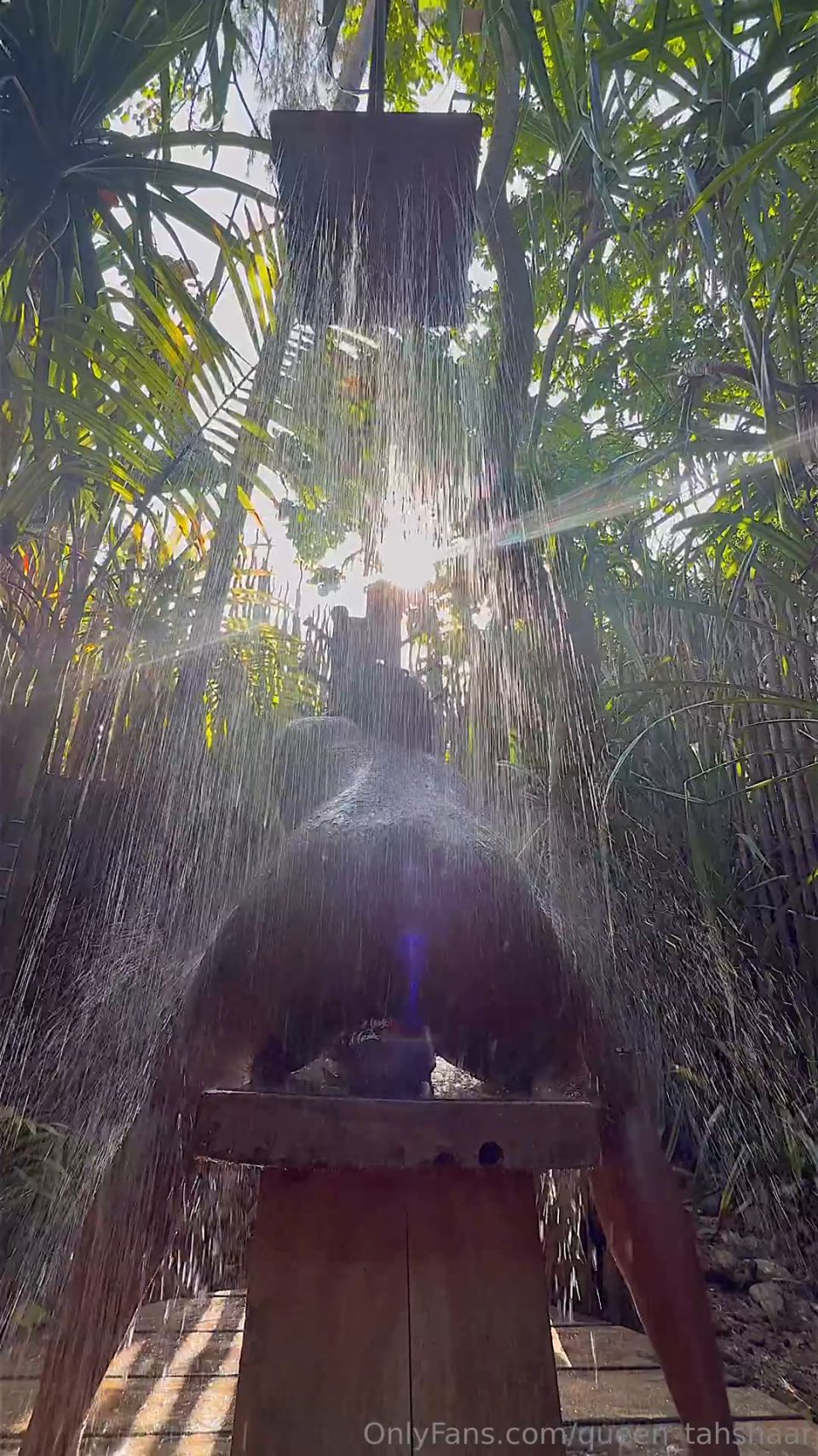 reina tahshaar qt052