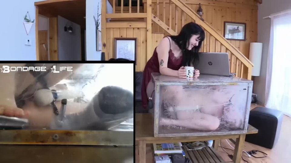 lucha apretada de los arneses Video Sexo Descargar Porn
