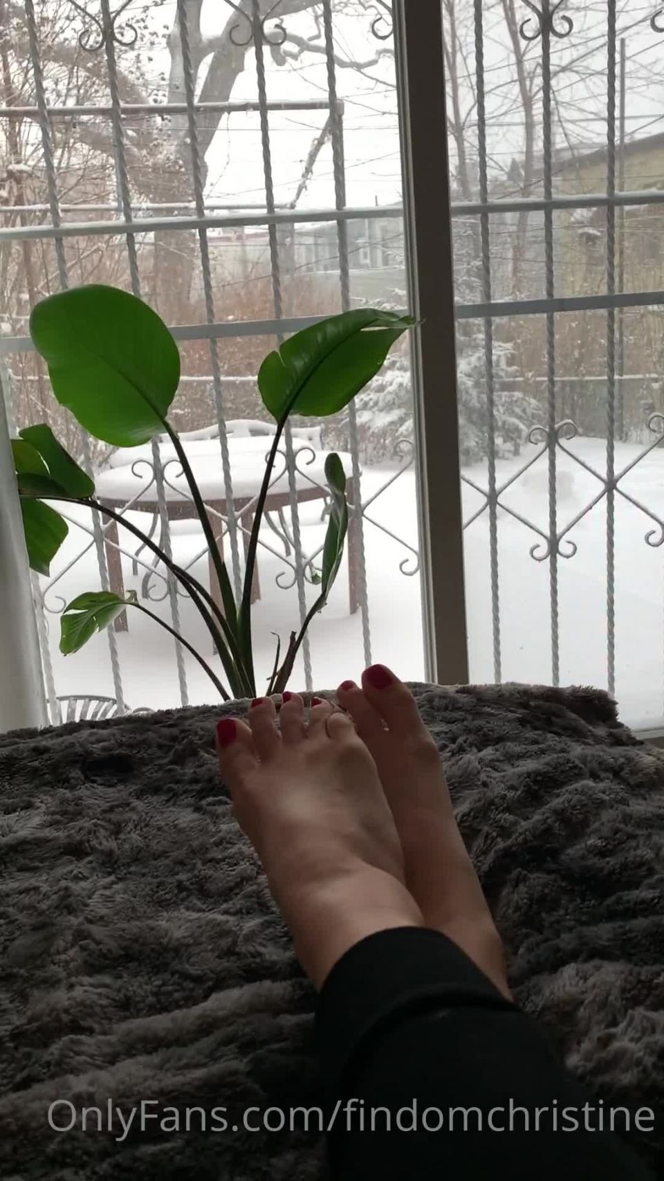 Onlyfans - Goddess Christine - findomchristine - findomchristineSpend the snow day by my cozy toes - 18-02-2021