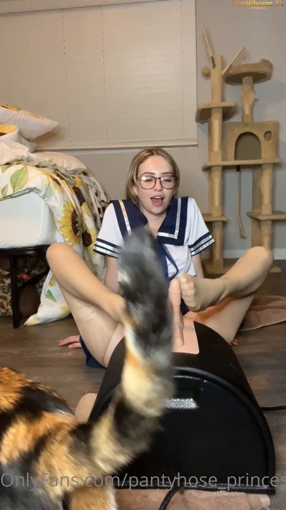 Pantimedias Princesa de la Escuela de Cabalgatas Solofans (Colegio porno)