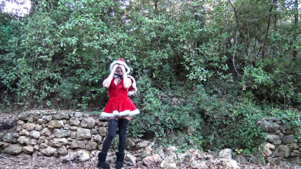 The Santa Wife Is A Slut  La Mre Nol Est Une Salope By Vic Alouqua 720p