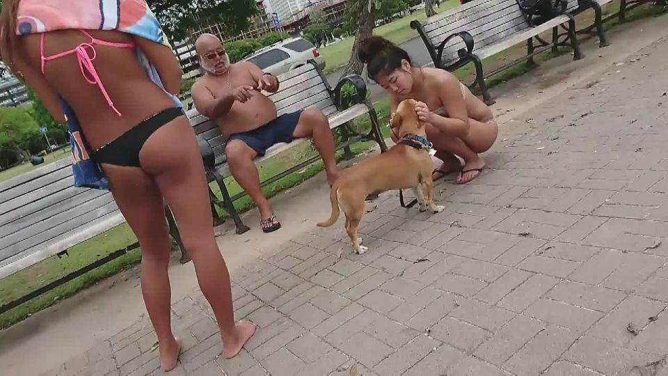 Hot girls play with dog by the beach