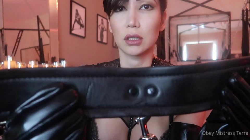 Mistress Terra - obeymistressterra ObeymistressterraYour slave training is here want to be a good slave then listen to my instructions - 02-03-2021 - SiteRip