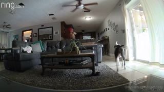 Legoshelly () - naked and chasing baby lizards out of the house 23-11-2020