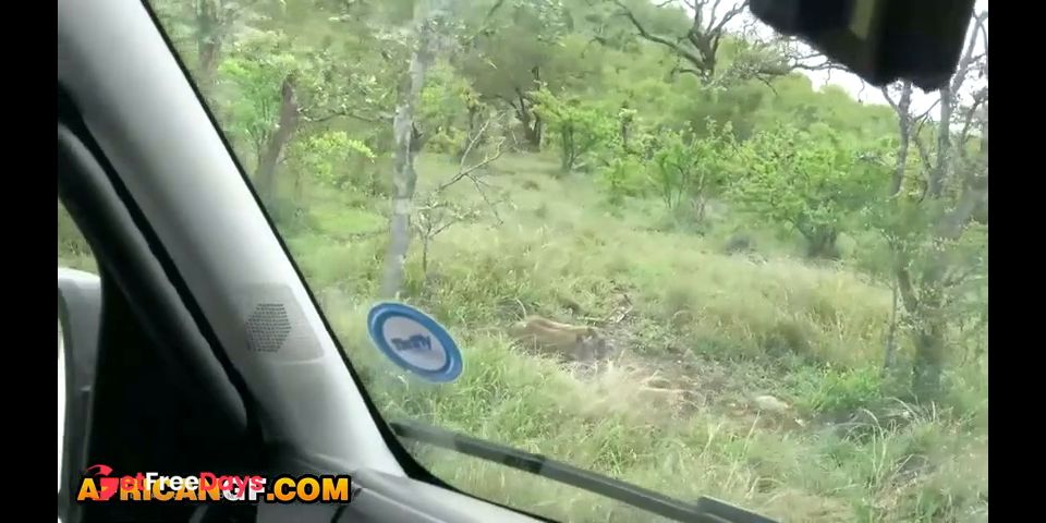 Nympho African Girlfriend Sucks My White Cock After Exotic Safari Date