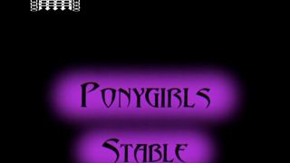 Ponygirls Stable