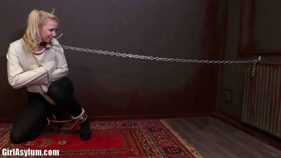 adult xxx video 20 small dick femdom Girl Asylum – Lil Missy – captured, girl asylum on femdom porn