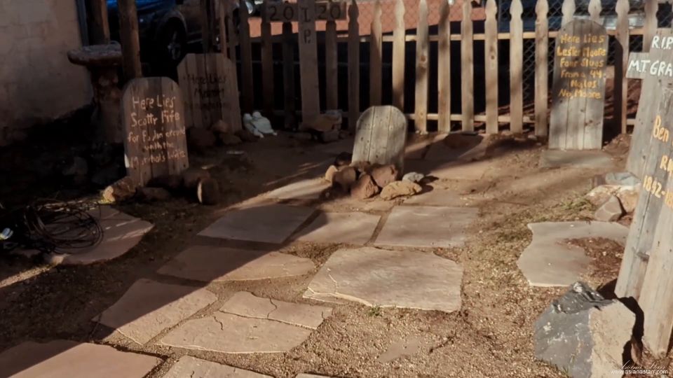 asianastarr 2024-05-15 Viaje de un día a Bearizona para Martin VLOG de cumpleaños abril 2024 zfzmd8