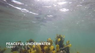 free adult video 45 LittleTabby – Peaceful Underwater, merilyn sakova hardcore on hardcore porn 