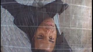 DizzyDrive ojos de ángel cinturón de esa perra