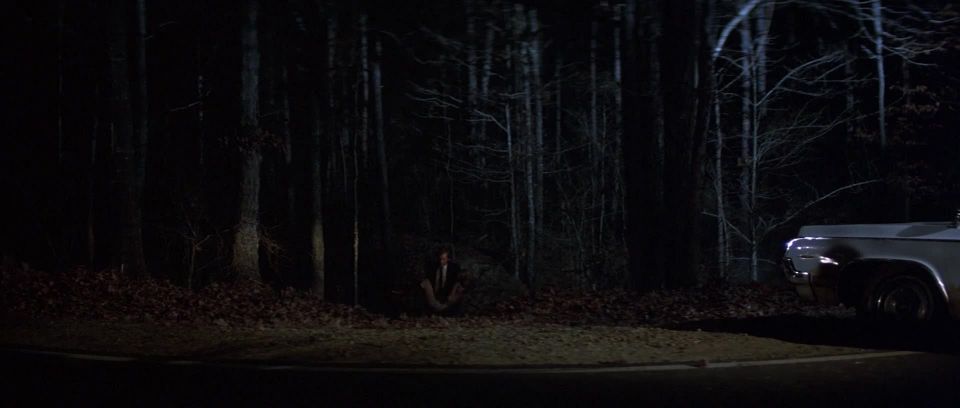 Bibi Besch, Katherine Moffat - The Beast Within (1982) HD 1080p - (Celebrity porn)