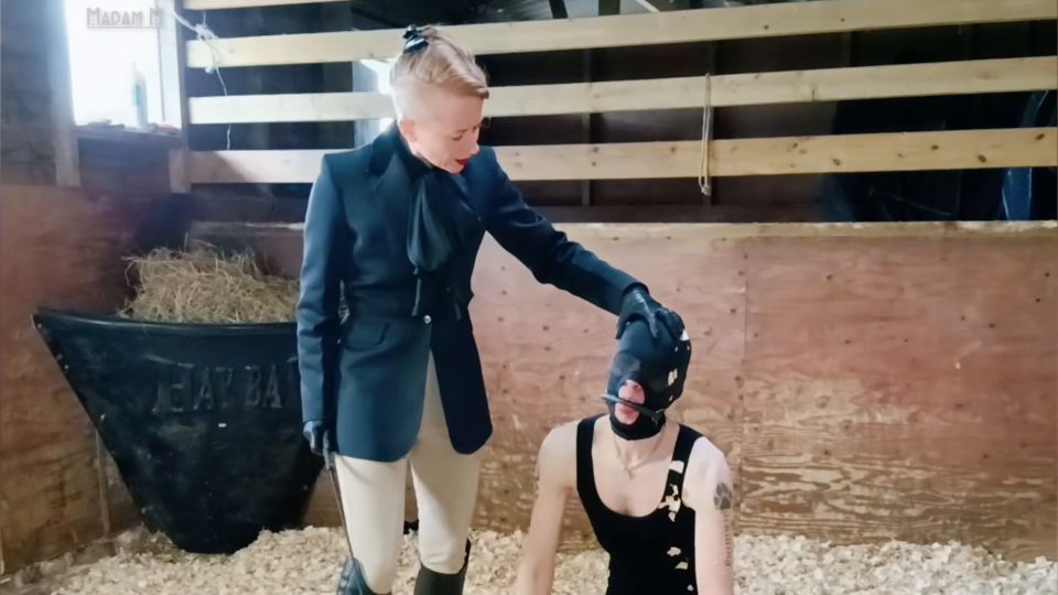 [K2S.CLUB] Madam M - Savage Stables Stomping dressage cropping skin scraping and humiliating beatdowns for the stable boy - FullHD 1080P