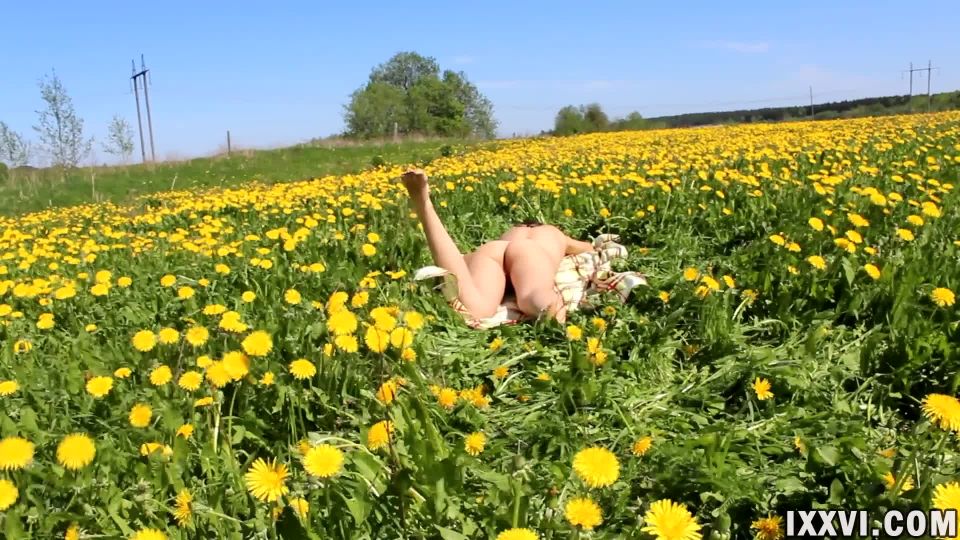 Porn online Real Home Shamelessness - Blowjob from a Stranger in the Field with Dandelions