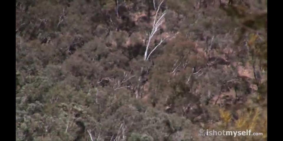 {ecotivity (mpg, 480p, 115.96 Mb)|ecotivity (115.96 Mb, N/a, 85