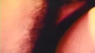 HallOfFameStars casa fiesta follada