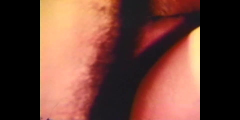 HallOfFameStars casa fiesta follada