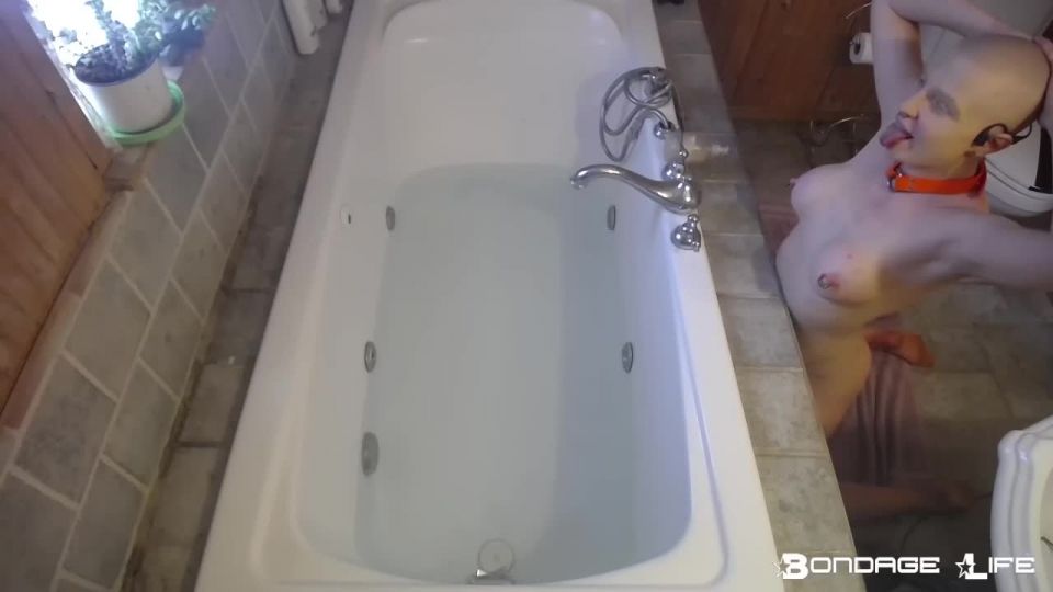 Bath Time With Greyhound 03.17.21 Sex Clip Video Porn Do...