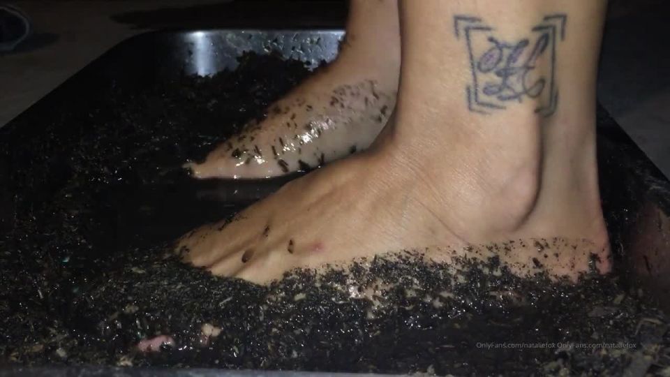 video 5 Watch Free Porno Online – nataliefox 02-08-2019-48264034-Muddy Feet… Love this color on my toes (MP4, HD, 1280×720) - femdom - femdom porn sissy maid femdom