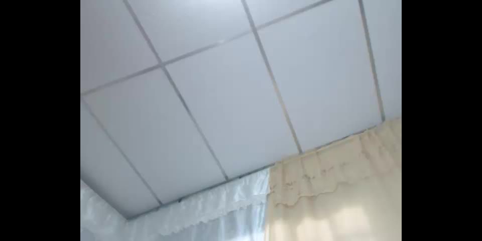 xxx clip 18 transexuales transexuales porno