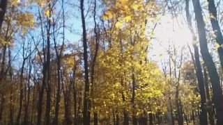 Dream4AngelFlashing in AUTUMN Park # Public NO PANTIES