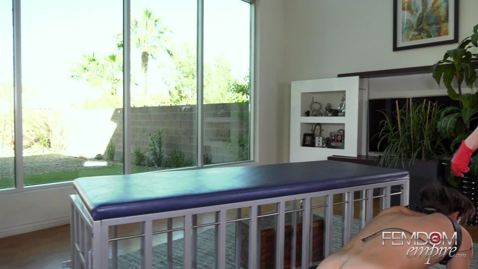 online porn clip 5 chastity cage femdom fetish porn | FemdomEmpire - Anal Fuck-Boy - Brianna Rose | brunette