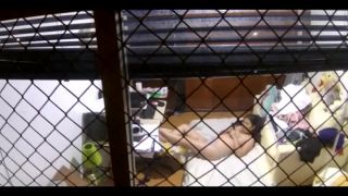online adult video 7 jp2 - hidden camera - webcam 
