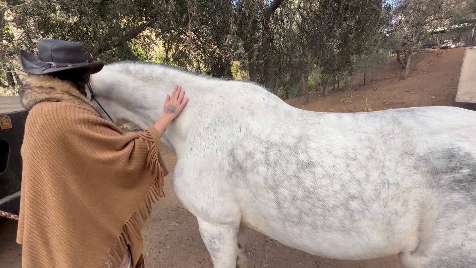 I Went For Horseback Riding Lessons But Got My Mouth Fucked Like A Puss