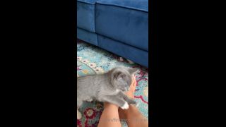 Onlyfans - Goddess Christine - findomchristine - findomchristineKitten and toes video content Goddess got kittens and they are CUTE - 22-01-2021