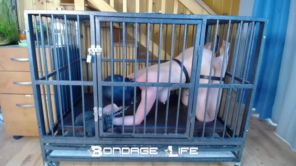 free porn clip 15 Bondage Life – Cage Time With Clamps Rachel Greyhound on femdom porn free cfnm femdom