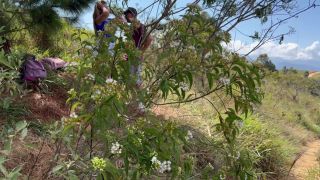 DIA DE CAMPING TERMINA EN UNA DELICIOSA FOLLADA AL AIRE LIBRE