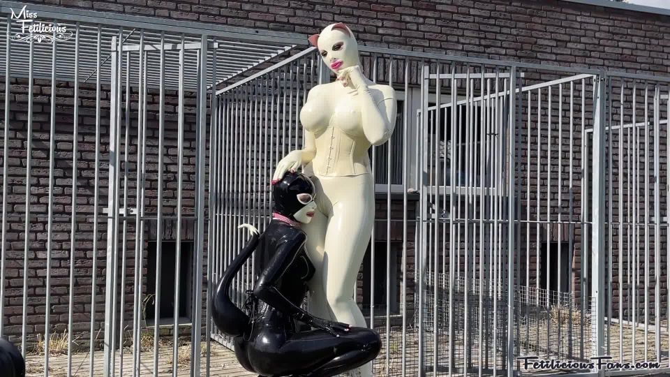 Gatitas de látex al aire libre Vista rápida Porn - Nuevo Sexo Vídeos O...