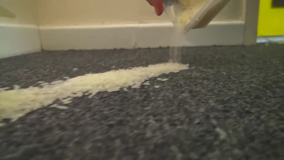 Echo Blake Carman Isask - School Bullies James Grey, Quic...