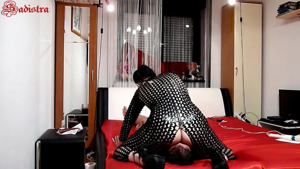 Acero garras gato rostro sentarse placer Sexo Online Porno FullHD