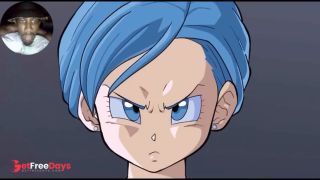 Dragon Ball Z Bulma and Vegeta Adult Story 3D Animation DBZ
